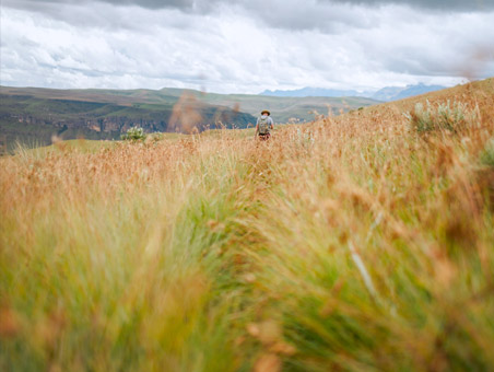 Countryside